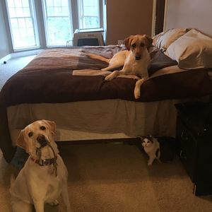 Meet your Posher, Adam